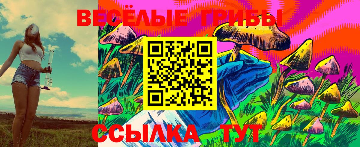 даркнет сайт  Галлюциногенные грибы Cubensis  Вход с VPN  Галлюциногенные грибы GOLDEN TEACHER  Долгопрудный 