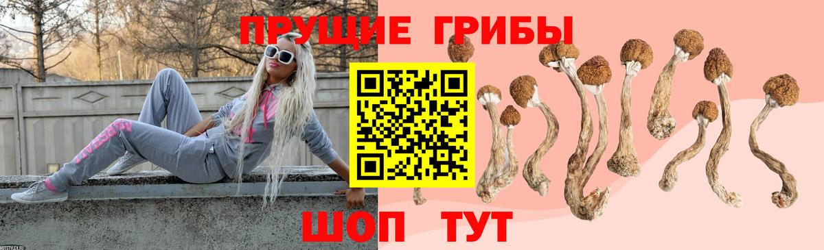 Галлюциногенные грибы мухоморы Долгопрудный